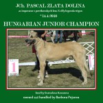 JCh. PASCAL Zlat� dolina