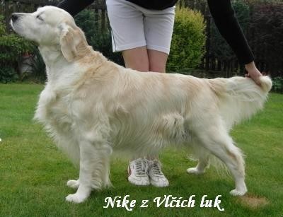 NIKE Z VL��CH LUK