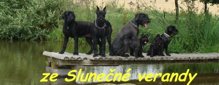 ze Slune�n� verandy