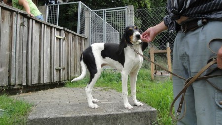 Carri�re Bohemia Hill (Zora)