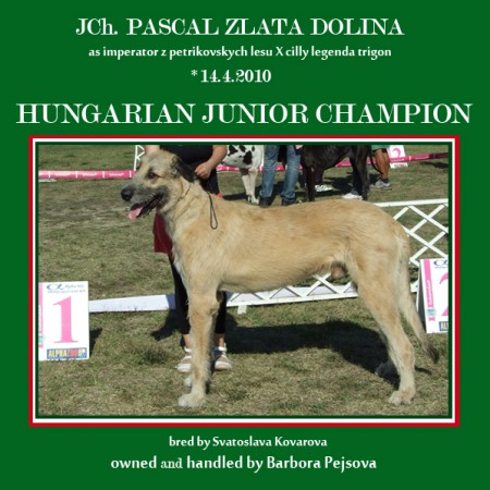 JCh. PASCAL Zlat� dolina