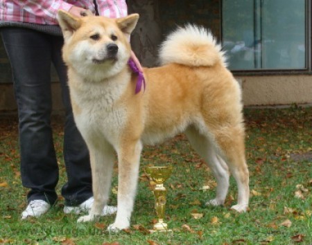 Fumi Chodsk� r�j