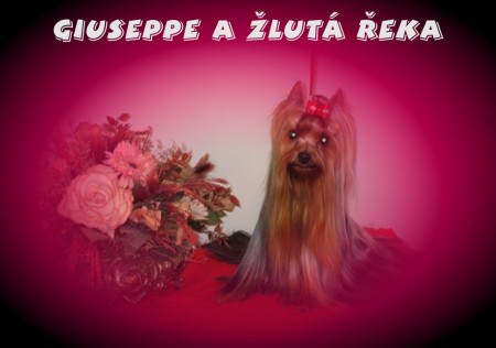 �lut� �eka