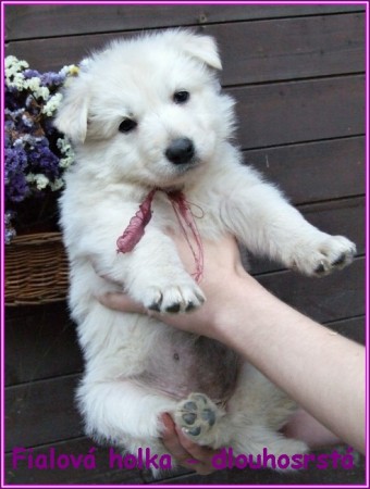 �t���tka k odb�ru