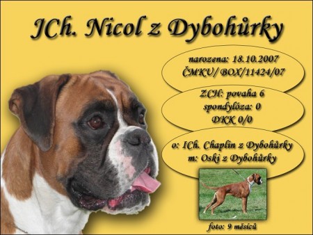 JCh. Nicol z Dyboh�rky