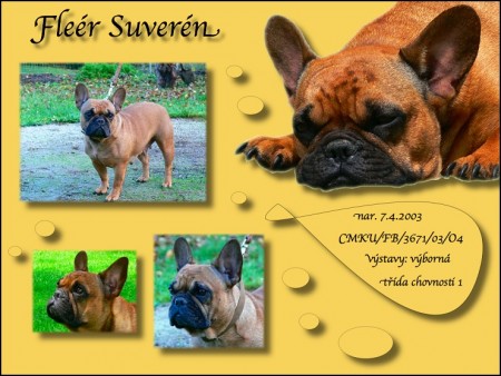 Fl�r Suver�n