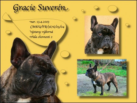 Gracie Suver�n