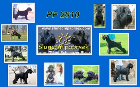 Slune�n� paprsek