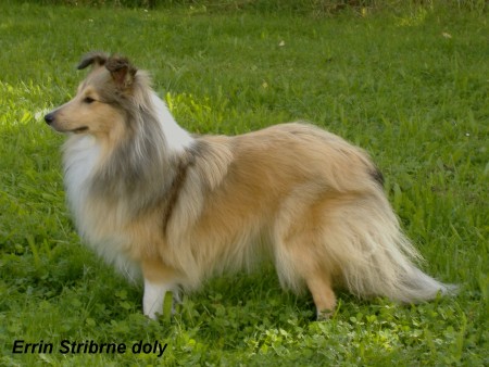 Errin St��brn� doly