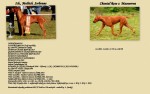 �t�n�tka-Chantal Rose + Ich., Multich. Sorbonne