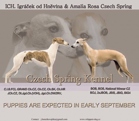 CHS Czech Spring - rezervace �t��at vipeta