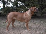 B�ra od Mandavy