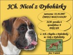 JCh. Nicol z Dyboh�rky