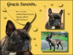 Gracie Suver�n