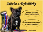 Jakoba z Dyboh�rky