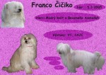 Franco �i�iko
