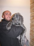�t���tka n�meck� modr� dogy