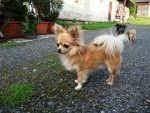 ARTU�