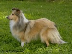 Errin St��brn� doly