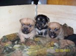 Blac Jack, Beam Jim, Balantine  Eldor�do Lip�
