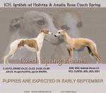 CHS Czech Spring - rezervace �t��at vipeta