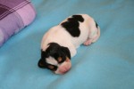 �t��ata jsou na sv�t�!