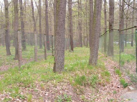 Koridor - dvojit� oplocen� mezi kter�m mohou b�t na volno str�n� psi