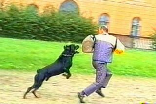 Hladk� zadr�en� na Policejn�m p�eboru v Dobrotic�ch 2001