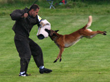 CACIT Mr�kov 2009