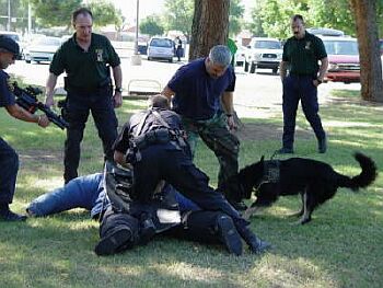 Z�krok