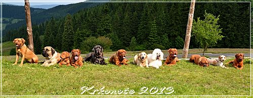 Krkono�e 2013