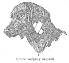 Boltec zalepen� n�plast�