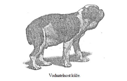 Vodnatelnost kůže