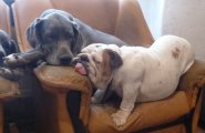 ps� pohod��