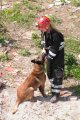 slu�ebn� pes Athos
